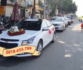 Xe du lịch 4 chỗ