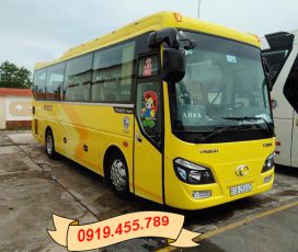 Thuê xe du lịch 29 chỗ dịp lễ Quốc Khánh TP.HCM đi Đà Lạt