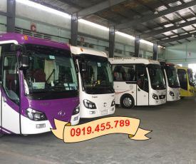 Dịch vụ cho thuê xe du lịch 29 chỗ dịp tết tại Quận 6